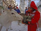 Safari to Reindeer farm