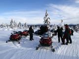 Tour 3 - Snowmobile safari (adults only)